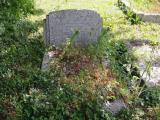 image of grave number 796836
